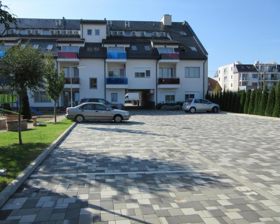 Zoeld Zafir * Sárvár